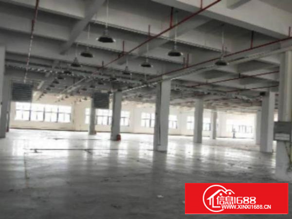 万江独院标准厂房仓库500至10000平方招租空地大;有专人