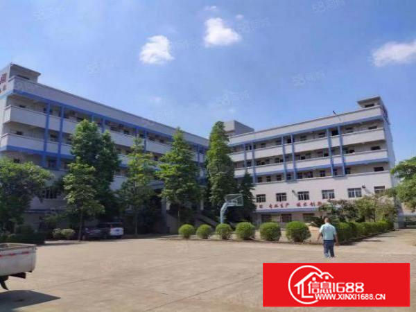 狮山狮西工业区花园式厂房