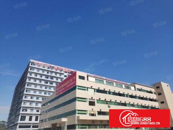 塘厦全新厂房大平层层高8米厂房,无公摊,原房东物业厂房