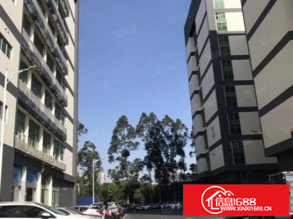 坂田杨美电商园厂房60平方到2400平方出租