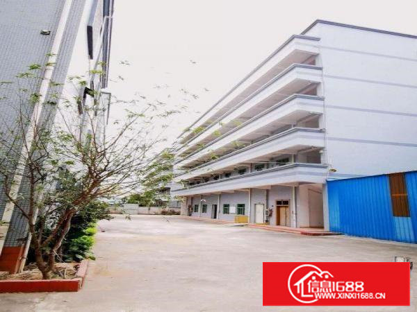 塘厦石鼓标准3楼厂房800平米长方形格局，挨石马/深圳/凤岗