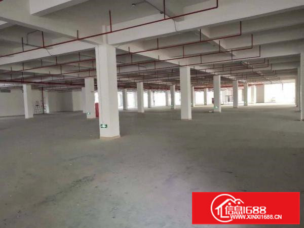 虎门怀德自建全新标准重工业厂房