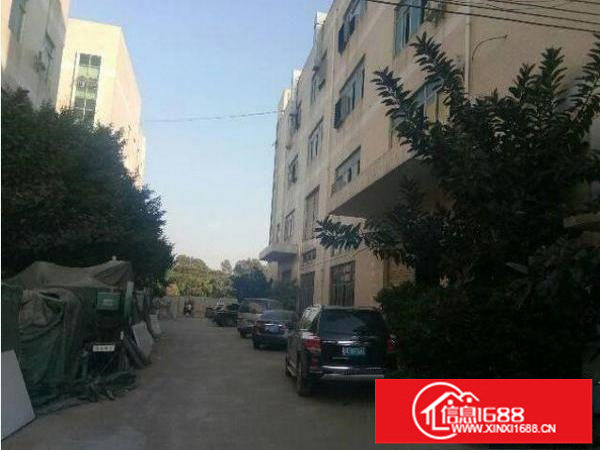 出租布吉西环路楼上800平带装修办公室厂房