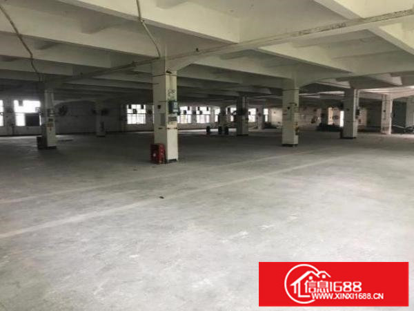 出租民治工业路主干道边全新厂房