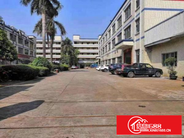 万江新出标准厂房一楼1000平方带办公室装修、可进大车