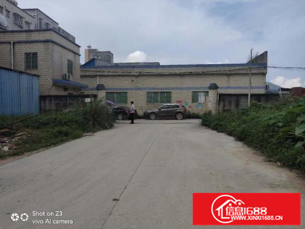新墟约场靠近深圳独院一楼厂房1200平米