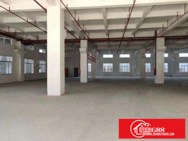 桥头新出村委！带红本！空地超大空地厂房1000平方起出租！