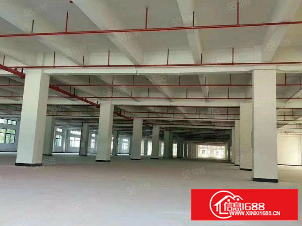 标准独院厂房国有土地可分租消防喷淋超大空地独立使用