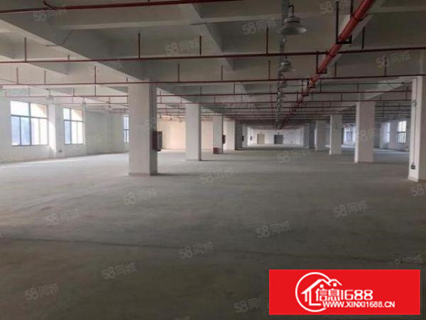 常平全新原房东10000平独栋厂房仓库出租，形象好大小可分租