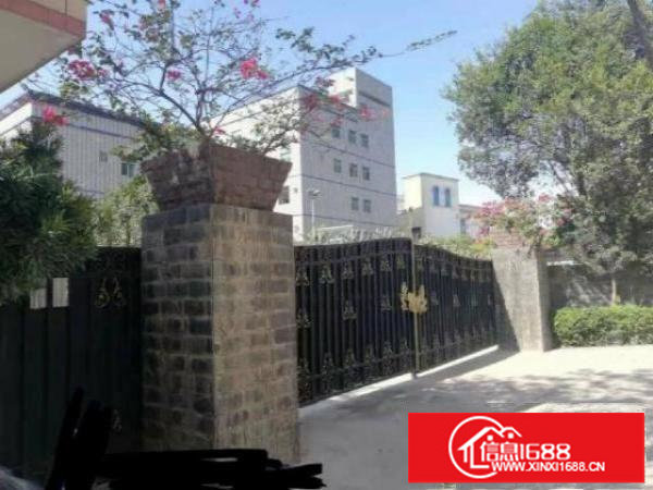 龙岗同乐1250平厂房出租带装修带电梯可大小分租