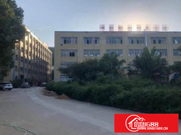 红本厂房！出租一楼800平方，带牛角，消防喷淋