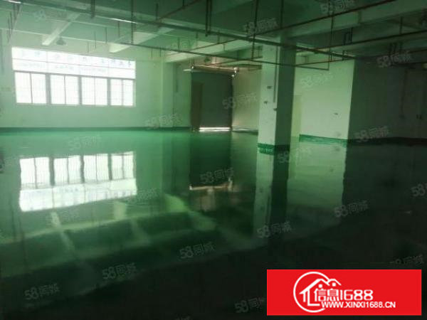 宝安松岗5000平原房东独门独院红本厂房仓库出租可分租