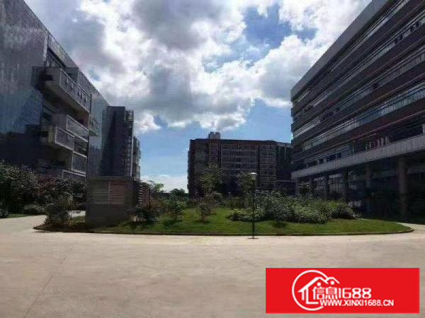 哇！好靓！花园式的环境！坪山大工业区全新1000平厂房招租！