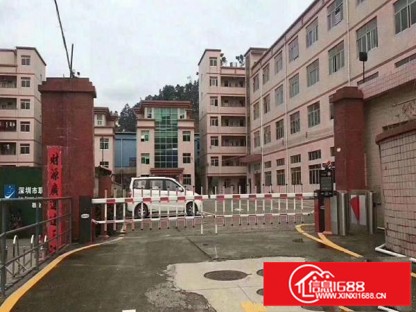 龙岗同乐独院14层8000平米低价出租有独立办公楼形象很靓