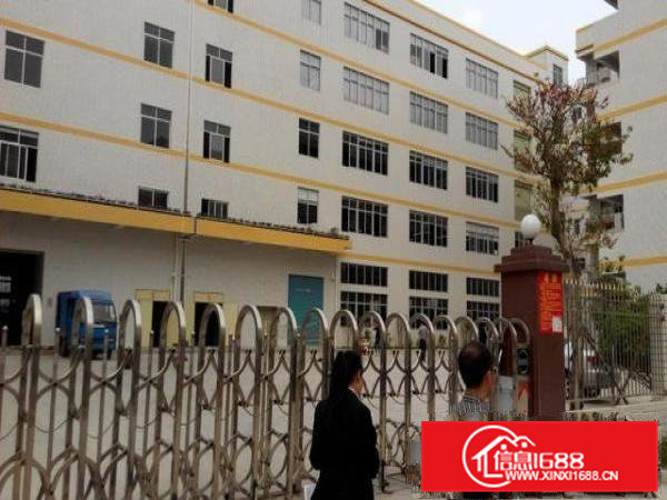 凤岗大型产业园厂房出租！小分租1000平米