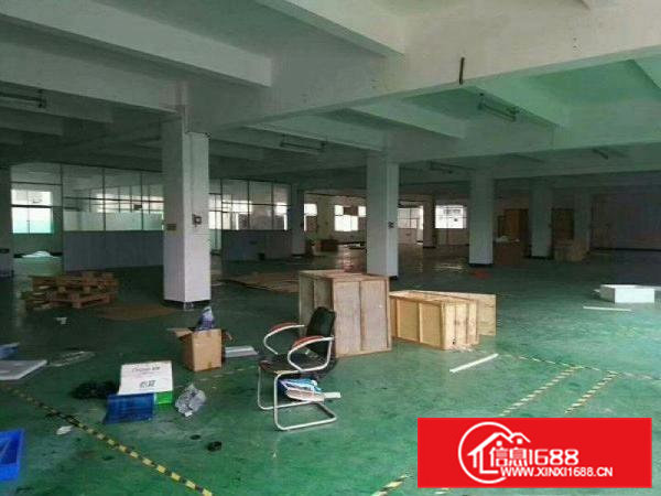 原房东噢！！凤岗有1500平方米标准一楼厂房！！不加公摊！！