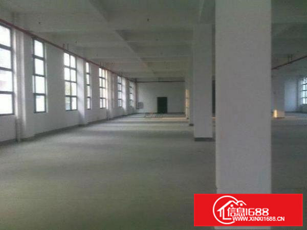 一二楼1600平方厂房出租可分层出租