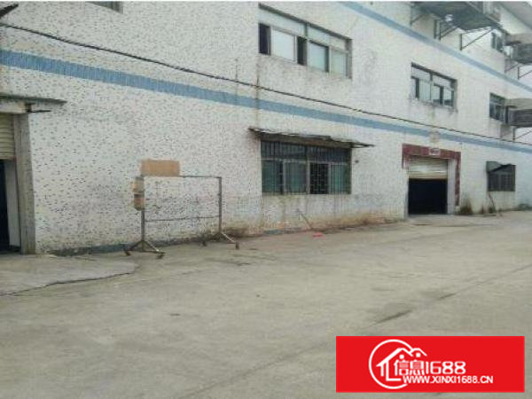 常平还珠沥工业区一楼1200平米整租可分租