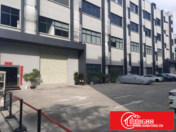 大浪整栋6480平面积出租