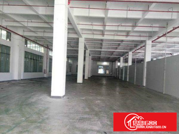 坪山新区龙坪路标准厂房1100平方出租高6.3米