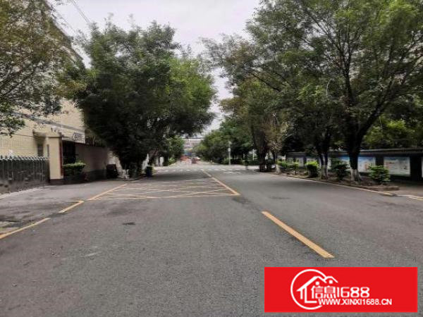 出租龙岗坪地坪西标准工业厂房