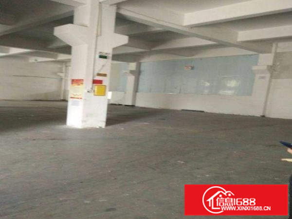 洗沙第二工业区带牛脚一楼1500平厂房招租