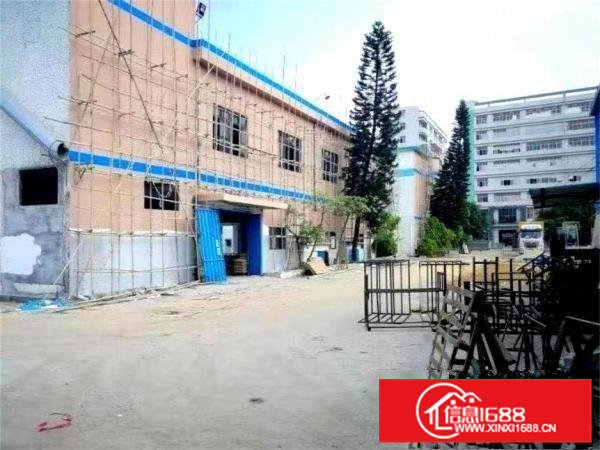 空地可停飞机，黄江田心村成熟工业区一楼500方，可办环评超靓