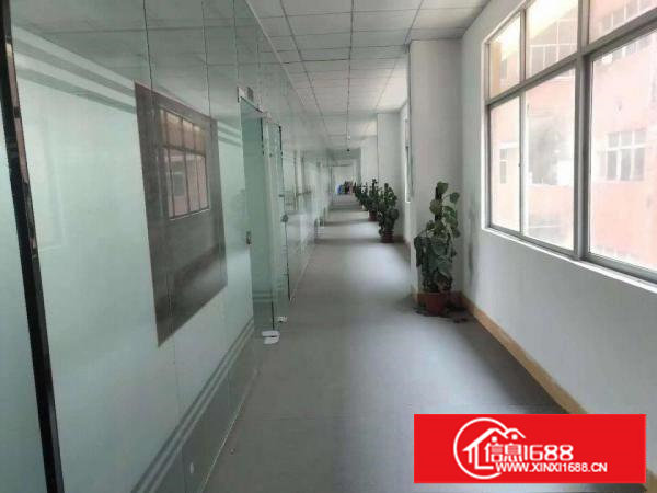 现成精装修办公室塘厦科苑城楼上900平厂房出租带消防喷淋