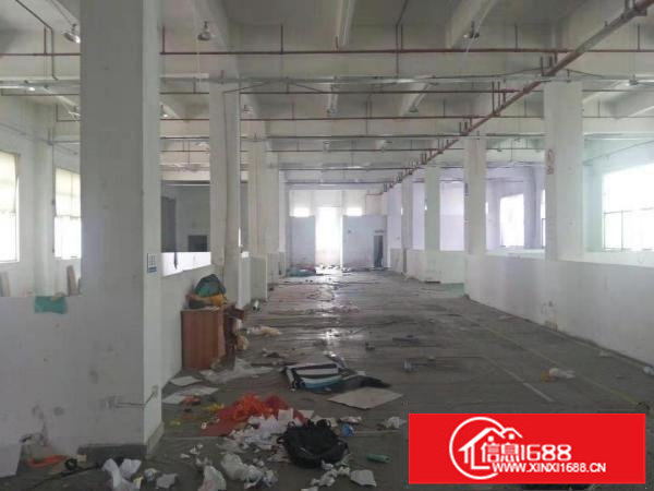 龙岗坪地北通道边原房东一楼厂房1600平出租空地大可分租