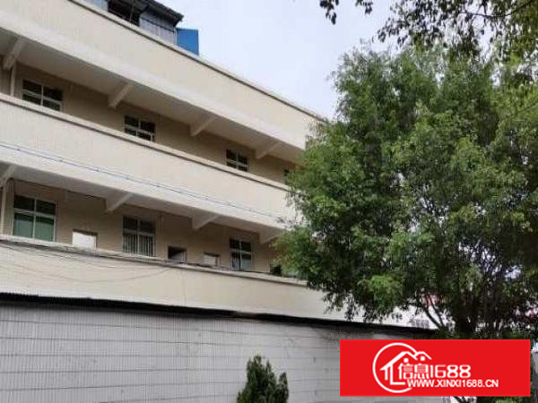 狮山原房东12米高独院3500方厂房