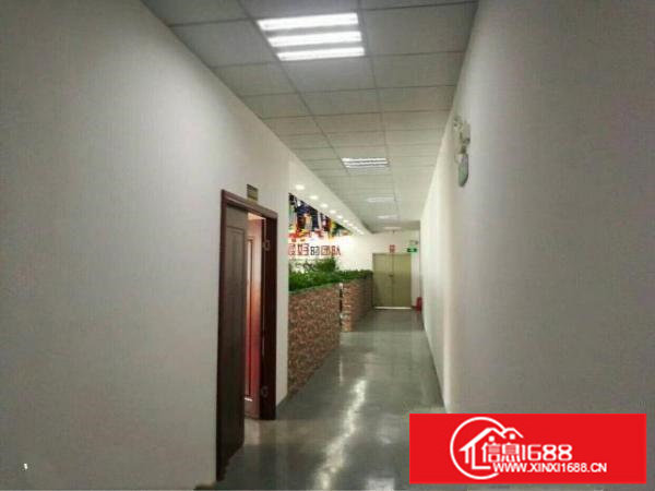 坂田上雪科技园三楼整层1280平