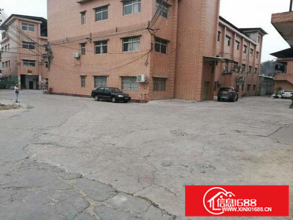 水电齐全可分租，大朗沙步村新出标准厂房一二楼，每层500方