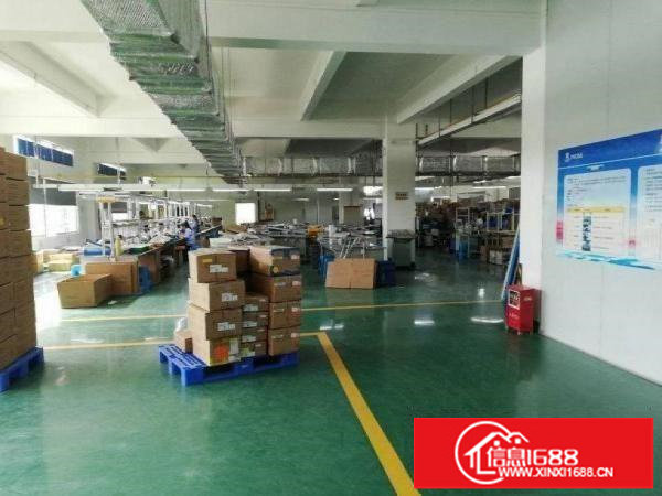 坂田工业园有一楼1300平米出租可以分租