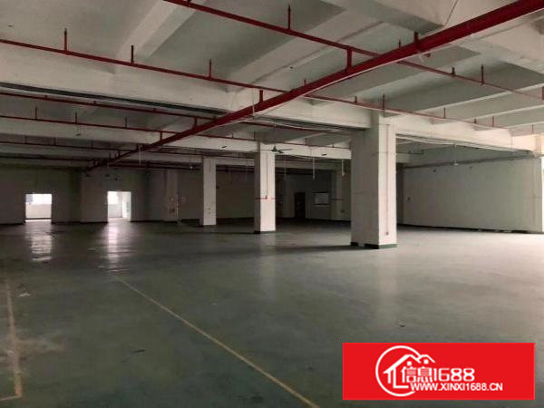 塘厦石鼓新出标厂楼上1200平，新出装修办公室，拎包入住!!