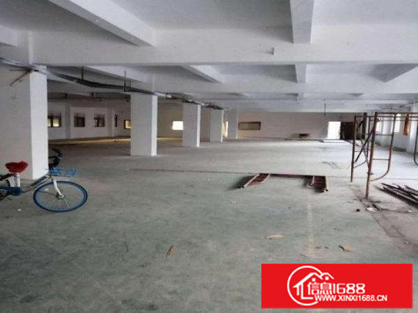 龙岗500平方标准一楼形象好厂房出租整租