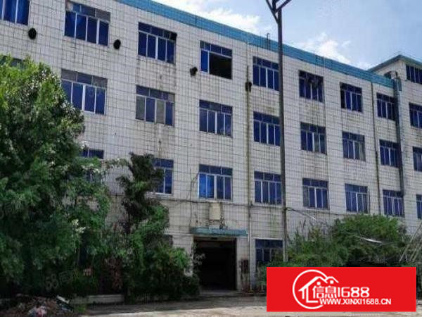 桥头新出原房东现成消防喷淋！化工paizhao证件！厂房