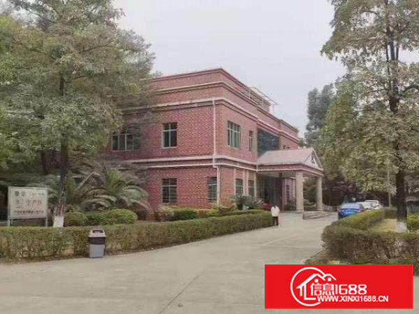 大岭山镇花园式单一层10米滴水厂房出租，可办环评！