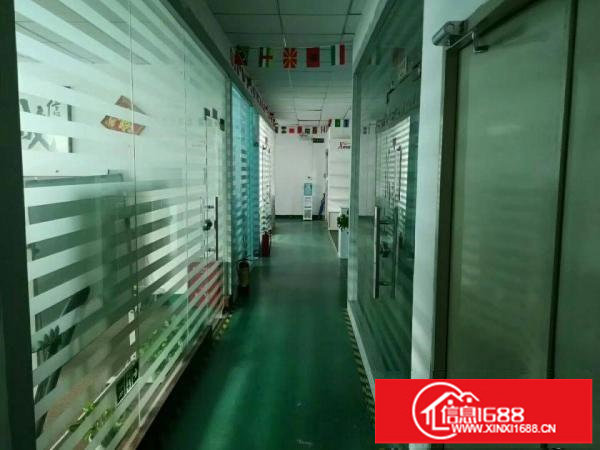 布吉红门138平精装电商园