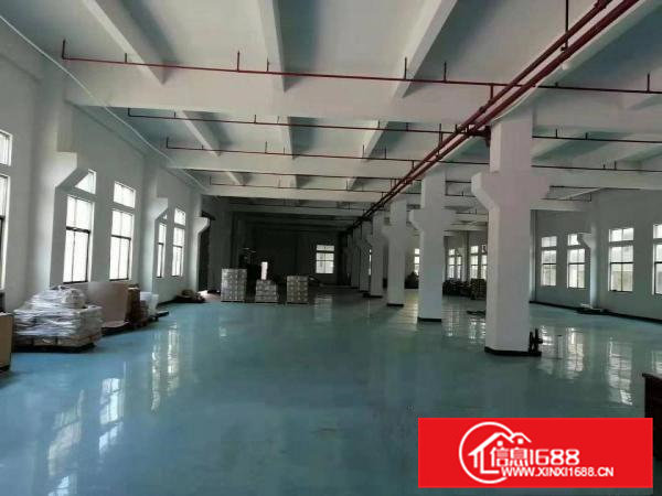 东莞市横沥镇东部快线边上大型工业区按需分租