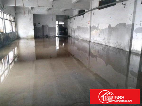 原房东一楼，0公摊，实用面积出租