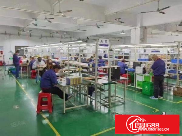 东莞茶山新出2000平方，带现成水电办公室，只要12元