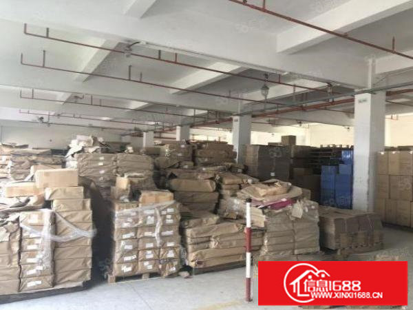 观澜新田市场村委独院厂房1至3层3200平实际面积出租