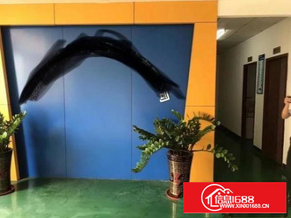 沙井共和新和大道边上新出楼上350平带装修厂房