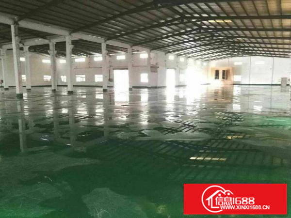 单一层7米钢结构6000平火爆招租