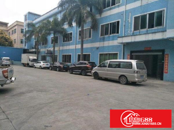 横沥镇隔坑附近标准厂房一楼1000平方