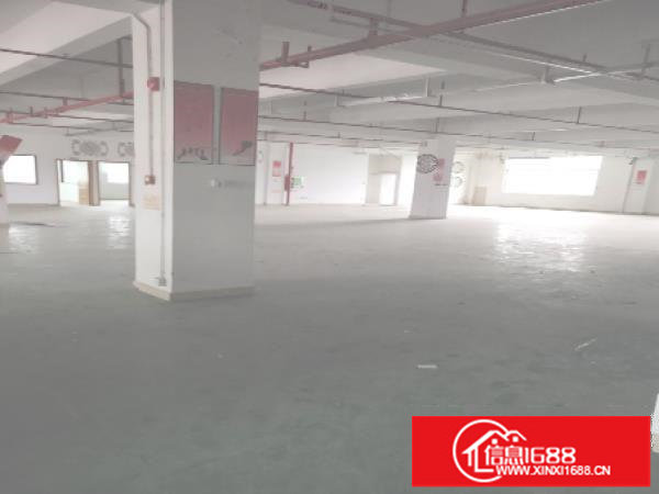木棉湾地铁口400平800平1000平5000平厂房出租