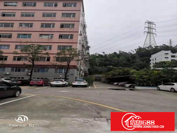 横岗一楼仓库2812平米，带卸货平台，可分租