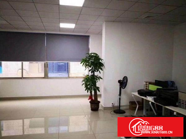 企石镇清湖村一楼标准厂房出租500平，高6米