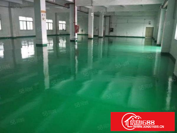 宝安松岗原房东独院红本厂房3900平面积可分租价格25