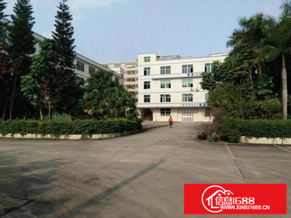 沥林泮沥村金达伟一楼标准厂房带装修700平招租